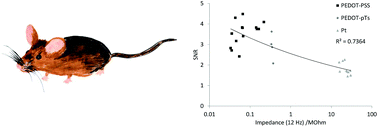 Graphical abstract: Predicting neural recording performance of implantable electrodes