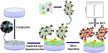 Graphical abstract: A novel electrochemical strategy based on porous 3D graphene-starch architecture and silver deposition for ultrasensitive detection of neuron-specific enolase