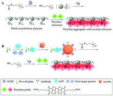 Graphical abstract: Metal coordination polymer induced perylene probe excimer fluorescence and its application in acetylcholinesterase sensing and alpha-fetoprotein immunoassay
