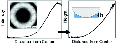 Graphical abstract: Standalone interferometry-based calibration of convex lens-induced confinement microscopy with nanoscale accuracy