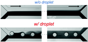 Graphical abstract: Concentration-adjustable micromixers using droplet injection into a microchannel