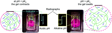 Graphical abstract: An implanted pH sensor read using radiography