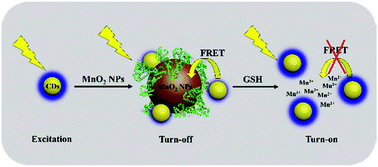 Graphical abstract: Dual role of BSA for synthesis of MnO2 nanoparticles and their mediated fluorescent turn-on probe for glutathione determination and cancer cell recognition