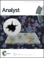 Graphical abstract: Inside front cover