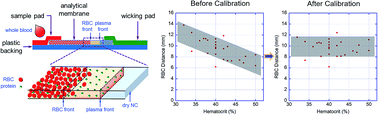 Graphical abstract: Correcting the effect of hematocrit in whole blood coagulation analysis on paper-based lateral flow device
