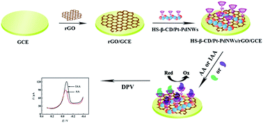 Graphical abstract: A Pt and Pd bimetal nanowire based stereoselective sensor for the discrimination of ascorbic acid and isoascorbic acid