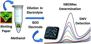 Graphical abstract: Electrochemical sensing of NBOMes and other new psychoactive substances in blotting paper by square-wave voltammetry on a boron-doped diamond electrode