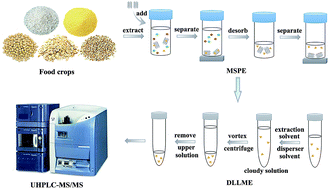 Graphical abstract: A novel magnetic multi-walled carbon nanotube-based magnetic solid-phase extraction combined with dispersive liquid–liquid microextraction method for the determination of four phenoxy carboxylic acid herbicides in food crops by using ultra-high performance liquid chromatography-tandem mass spectrometry