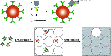 Graphical abstract: Development of immunomagnetic droplet-based digital immuno-PCR for the quantification of prostate specific antigen