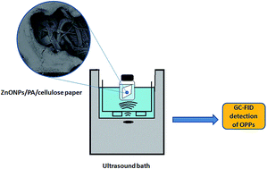 Graphical abstract: ZnO nanoparticles doped polyamide nanocomposite coated on cellulose paper as a novel sorbent for ultrasound-assisted thin film microextraction of organophosphorous pesticides in aqueous samples