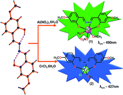 Graphical abstract: Single sensors for multiple analytes employing fluorometric differentiation for Cr3+ and Al3+ in semi-aqueous medium with bio-activity and theoretical aspects