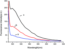 Graphical abstract: A simple and rapid dual-cycle amplification strategy for microRNA based on graphene oxide and exonuclease III-assisted fluorescence recovery