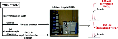 Graphical abstract: Comparison between two derivatization methods of nitrite ion labeled with 15N applied to liquid chromatography-tandem mass spectrometry