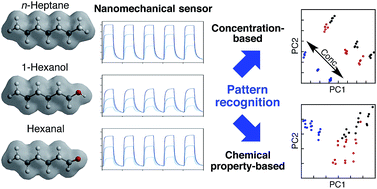 Graphical abstract: Discrimination of structurally similar odorous molecules with various concentrations by using a nanomechanical sensor