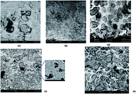 Graphical abstract: Electrochemical determination of lead in human blood serum and urine by anodic stripping voltammetry using glassy carbon electrodes covered with Ag–Hg and Ag–Bi bimetallic nanoparticles