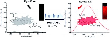 Graphical abstract: A novel near-infrared and naked-eyes turn on fluorescent probe for detection of biothiols with a large Stokes shift and its application in living cells