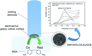 Graphical abstract: A bionanocomposite-modified glassy carbon electrode for the determination of 4,4′-methylene diphenyl diamine