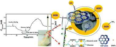 Graphical abstract: Covalent organic frameworks and electron mediator-based open circuit potential biosensor for in vivo electrochemical measurements
