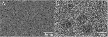 Graphical abstract: Cu2+ modulated DNA-templated silver nanoclusters as a turn-on fluorescence probe for the detection of quinolones