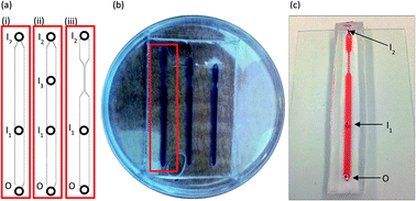Graphical abstract: Microfluidic flow confinement to avoid chemotaxis-based upstream growth in a biofilm flow cell reactor