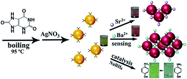 Graphical abstract: Facile preparation of Ag nanoparticles using uric acid and their applications in colorimetric detection and catalysis