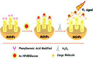 Graphical abstract: A smart and sensitive sensing platform to monitor the extracellular concentration of hydrogen peroxide in rat brain microdialysates during pathological processes based on mesoporous silica nanoparticles