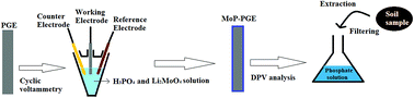 Graphical abstract: Electrochemical formation of molybdenum phosphate on a pencil graphite electrode and its potential application for the detection of phosphate ions