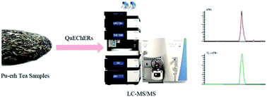Graphical abstract: Rapid qualitative and quantitative analysis of aflatoxin B1 in Pu-erh tea by liquid chromatography-isotope dilution tandem mass spectrometry coupled with the QuEChERS purification method