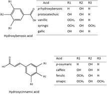 Graphical abstract: Determination of phenolic acids in palm oil samples by HPLC-UV-AD using homemade flow cell