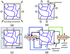 Graphical abstract: Accurate flow in augmented networks (AFAN): an approach to generating three-dimensional biomimetic microfluidic networks with controlled flow