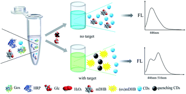 Graphical abstract: Development of a novel fluorescence ratiometric glucose sensor based on carbon dots and a potential fluorophore m-dihydroxybenzene