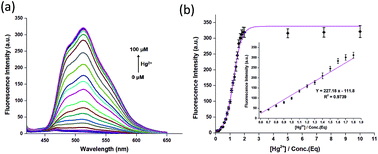 Graphical abstract: A novel fluorescent probe for Hg2+ detection in a wide pH range and its application in living cell imaging
