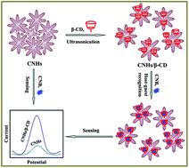 Graphical abstract: Electrochemical sensing for 1-chloro-4-nitrobenzene based on β-cyclodextrin/carbon nanohorn nanohybrids