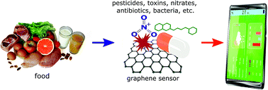 Graphical abstract: Graphene-based biosensors for on-site detection of contaminants in food