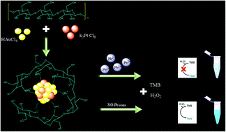 Graphical abstract: Novel colorimetric sensor based on peroxidase-like activity of chitosan-stabilized Au/Pt nanoclusters for trace lead
