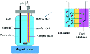 Graphical abstract: An efficient approach for selective electromembrane extraction of benzoic and sorbic acids and saccharin in soft drinks