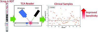 Graphical abstract: Improved detection of group A Streptococcus during thermal contrast amplification vs. visual reading of clinical rapid diagnostic tests