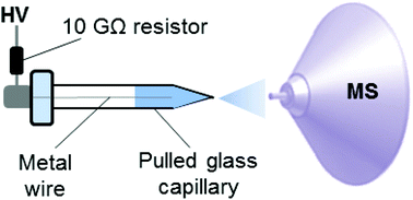 Graphical abstract: Stable and reproducible nano-electrospray ionization of aqueous solutions and untreated biological samples using ion current limitation combined with polarity reversing