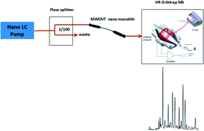 Graphical abstract: MWCNT based monolith for the analysis of antibiotics and pesticides in milk and honey by integrated nano-liquid chromatography-high resolution orbitrap mass spectrometry