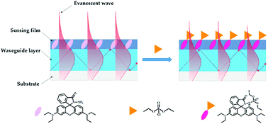 Graphical abstract: Detection of diethyl chlorophosphate using a composite optical waveguide sensor