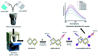 Graphical abstract: Highly sensitive optical biosensing of Staphylococcus aureus with an antibody/metal–organic framework bioconjugate