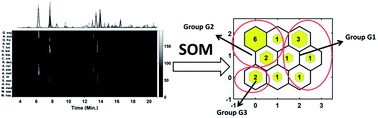 Graphical abstract: Chromatographic analysis of peptidoglycan samples with the aid of a chemometric technique: introducing a novel analytical procedure to classify bacterial cell wall collection