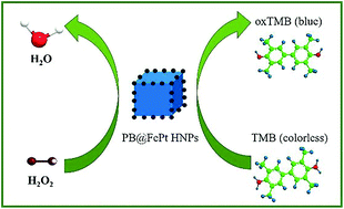 Graphical abstract: Synthesis of PB@FePt hybrid nanoparticles with peroxidase-mimicking activity for colorimetric determination of hydrogen peroxide in living cells