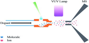 Graphical abstract: Direct and rapid analysis of trace levels steroids in water by thermal desorption atmospheric pressure photoionization mass spectrometry