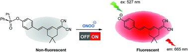 Graphical abstract: A novel highly selective near-infrared and naked-eye fluorescence probe for imaging peroxynitrite