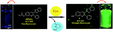 Graphical abstract: A highly selective ICT-based fluorescent probe for cysteine sensing and its application in living cell imaging