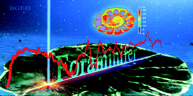 Graphical abstract: High spatial resolution quantitative elemental imaging of foraminifer by laser ablation-inductively coupled plasma-mass spectrometry