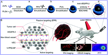 Graphical abstract: PA/US dual-modality imaging to guide VEGFR-2 targeted photothermal therapy using ZnPc-/PFH-loaded polymeric nanoparticles