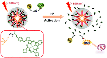 Graphical abstract: A pH-responsive stellate mesoporous silica based nanophotosensitizer for in vivo cancer diagnosis and targeted photodynamic therapy