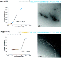 Graphical abstract: Immunomodulatory vasoactive intestinal peptide amphiphile micelles
